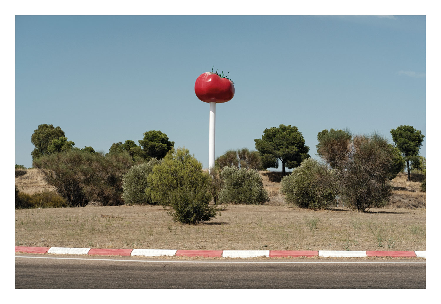 13Photo Daniel Rihs Tomato on a stick