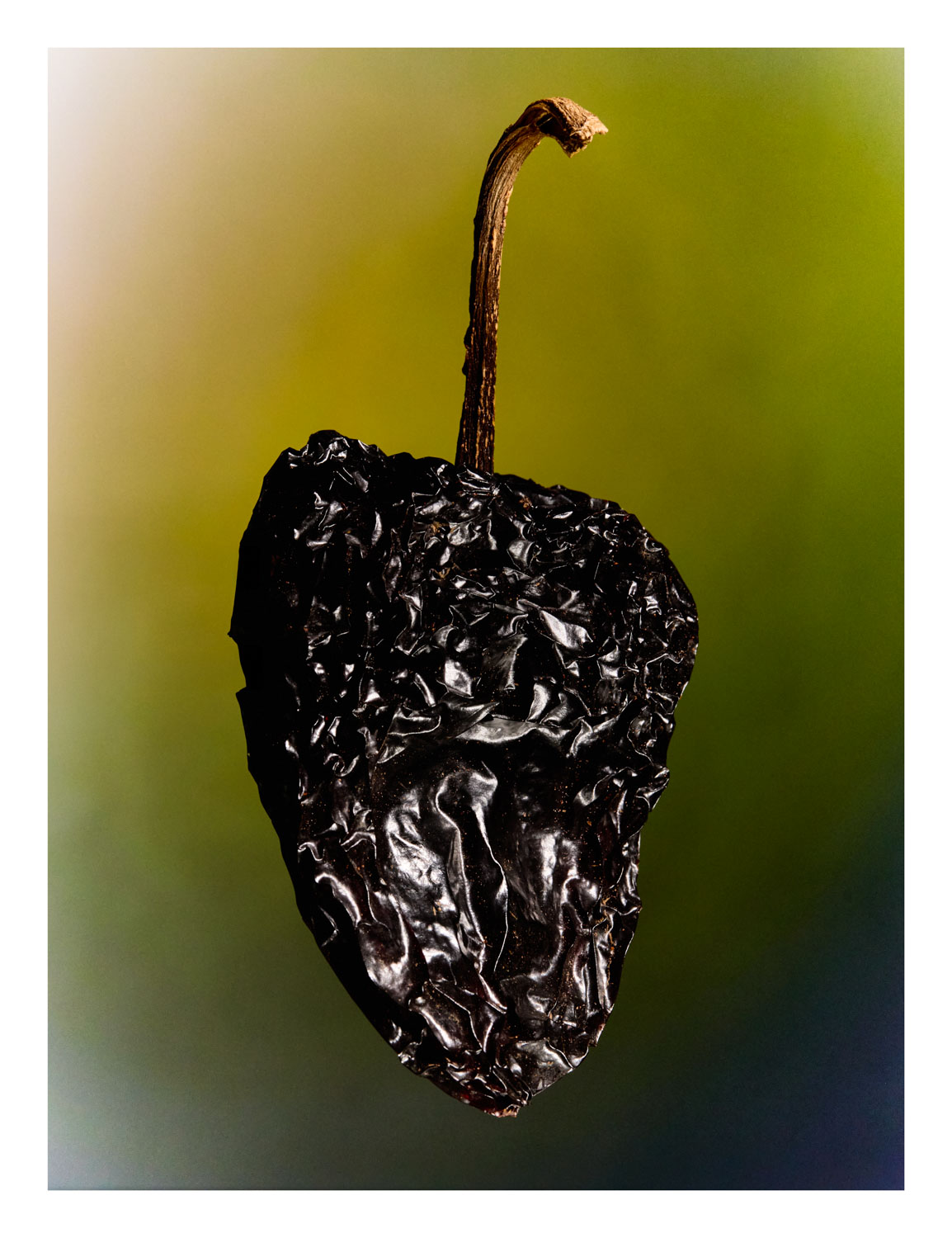 13Photo Joan Minder Chilli