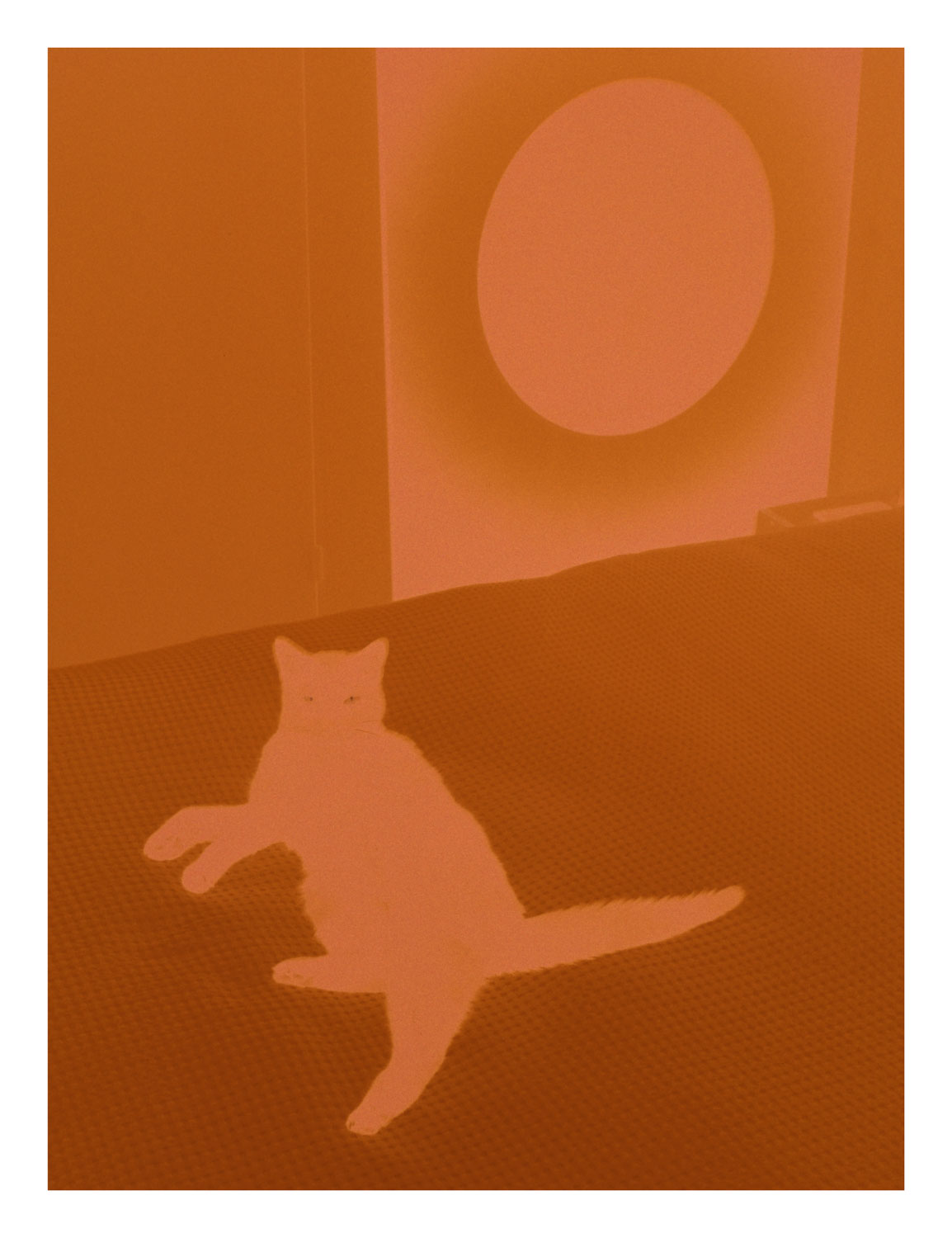 13 Photo Ladina Bischof Hinterlassenschaften 2025