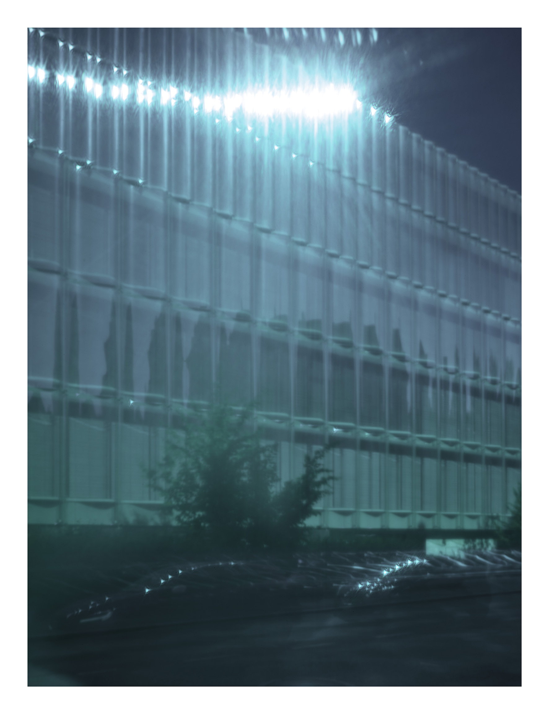 Markus Bertschi - Foma Alfred