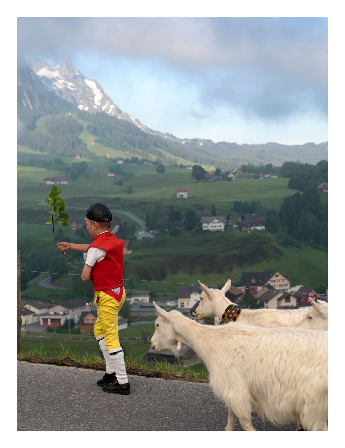 13Photo Marvin Zilm Alpauftrieb Appenzell