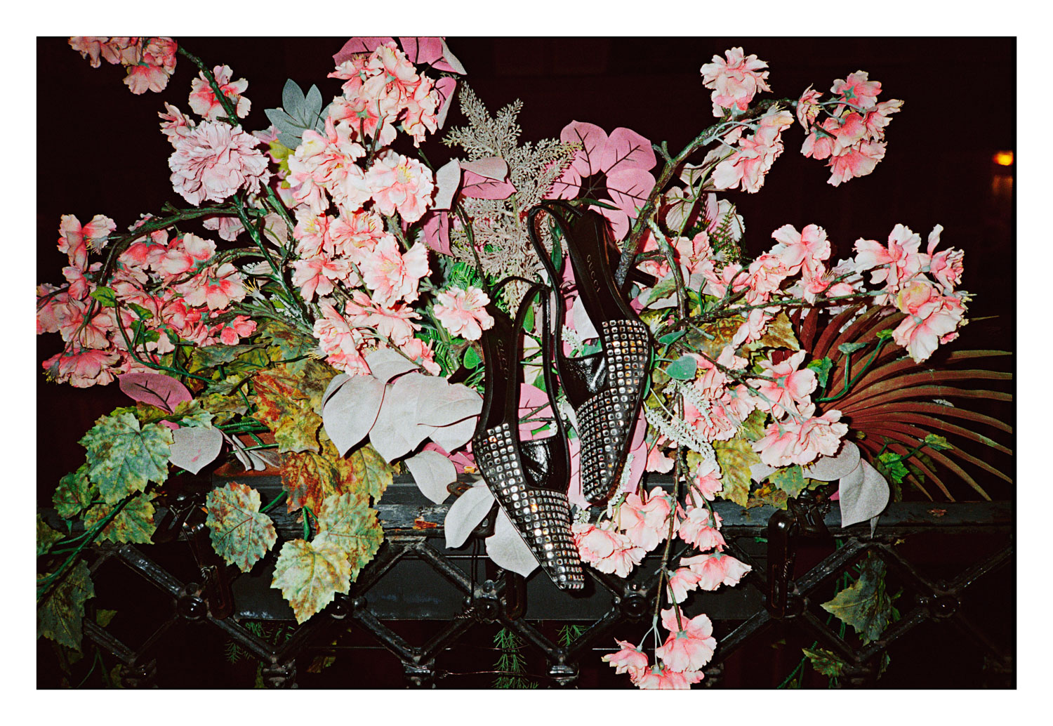 13Photo Maurice Haas Paris