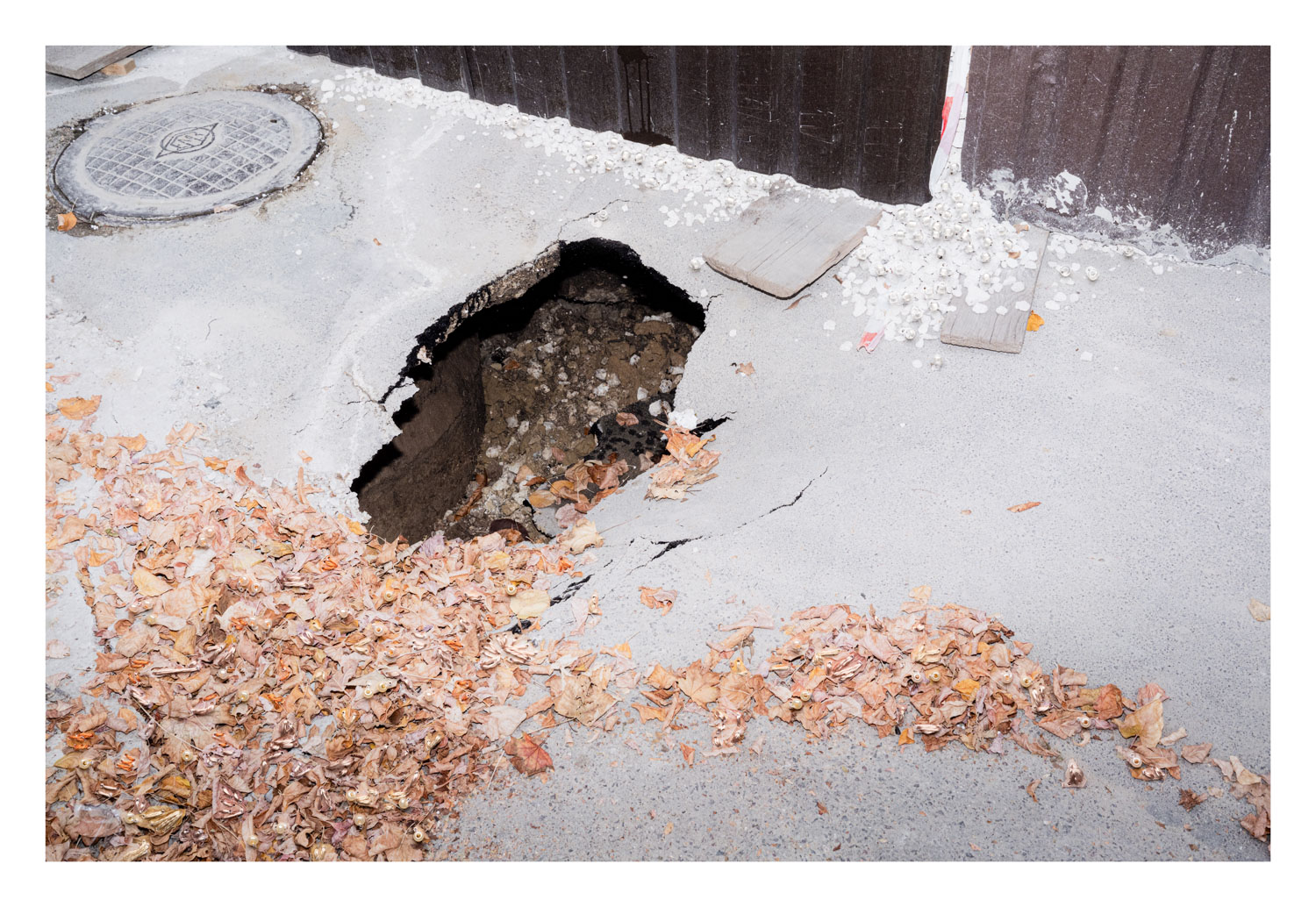 13Photo Ruben Hollinger Fancy not Fency