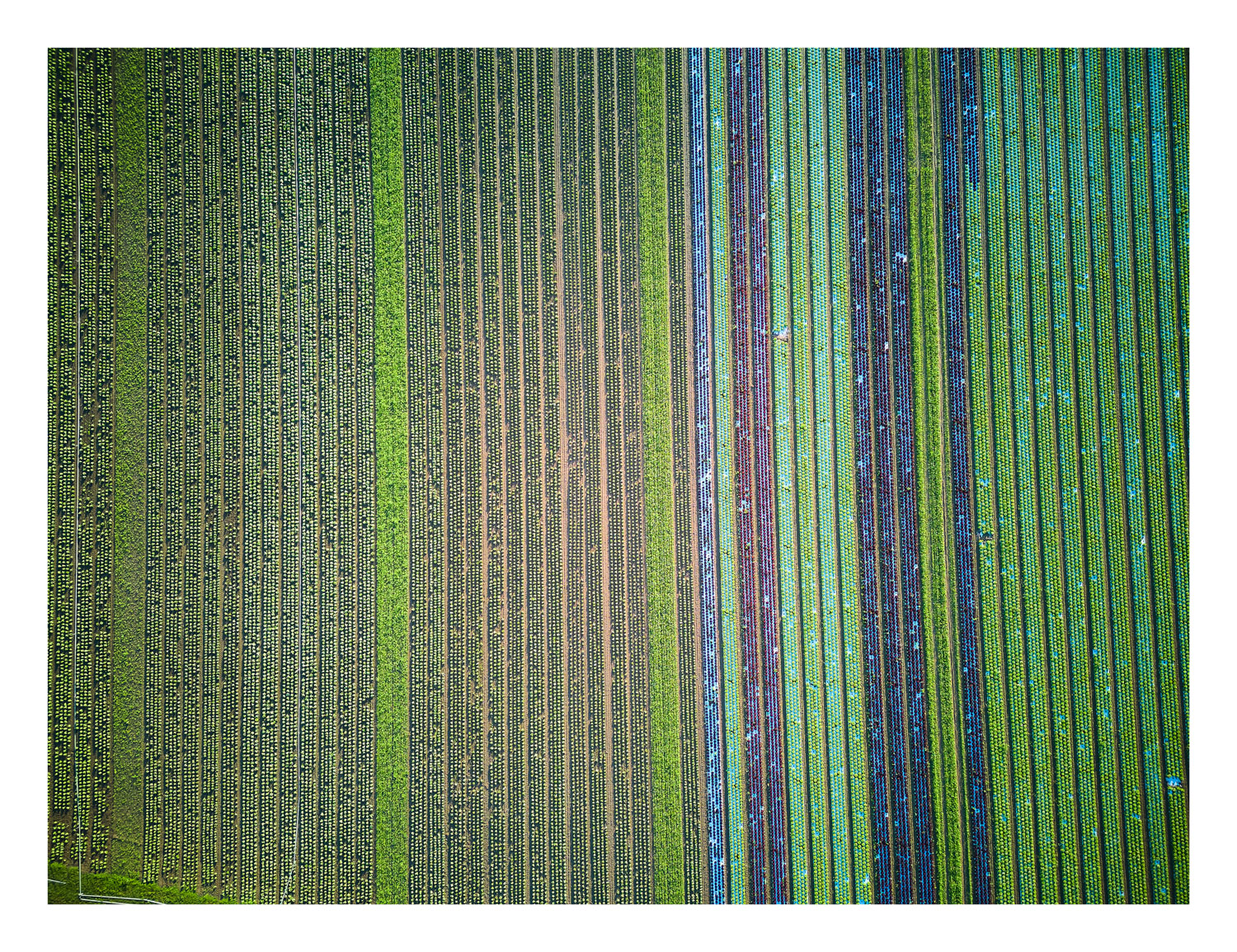 13Photo Samuel Trümpy Feldstruktur